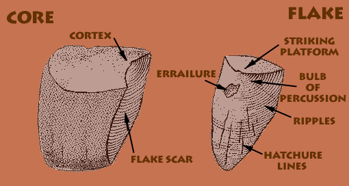 flake-morphology